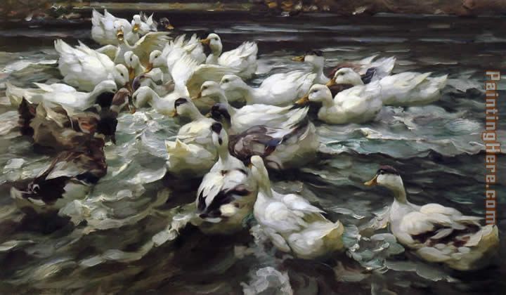 Ducks in a Pond painting - Alexander Koester Ducks in a Pond art painting